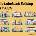 best White label link building agencies USA