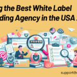 Choosing the Best White label link building agency in the USA